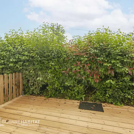 Апартаменты T2 Avec Terrasse Et Jardin A - Fr-1-841-39 *